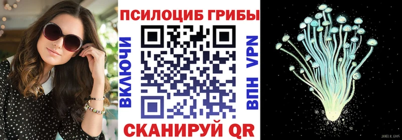 гидра как зайти где купить наркотик Моршанск Псилоцибиновые грибы Magic Shrooms